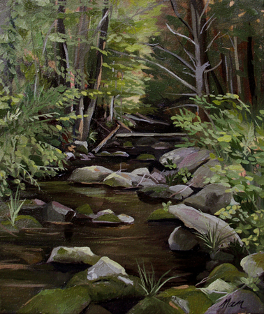 Beaver Brook, Oil on Canvas, 12 x 24 (sold)