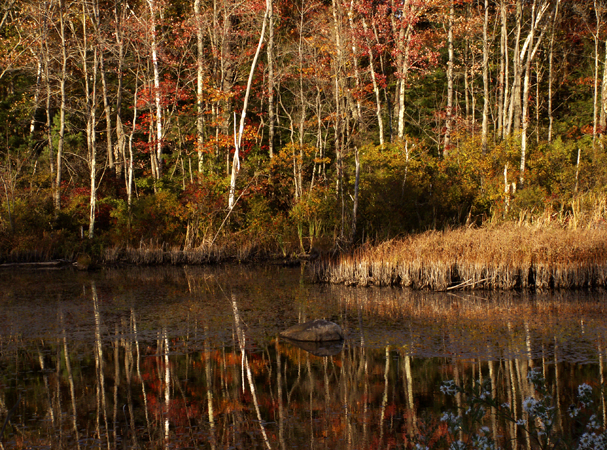Reflecting Pond in Cornish, New Hampshire