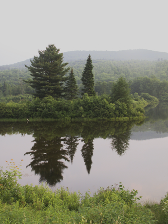 Reflections on Gale River, Franconia, New Hampshire