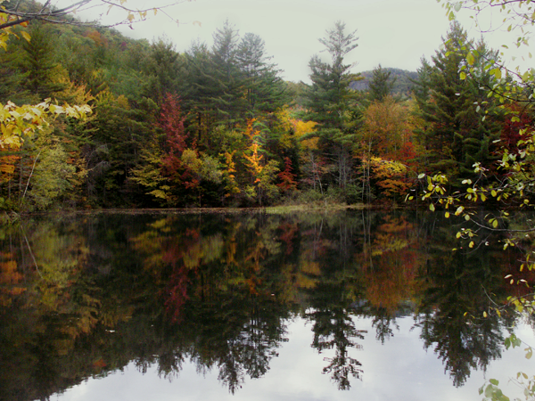 Pond in Jackson, New Hampshire