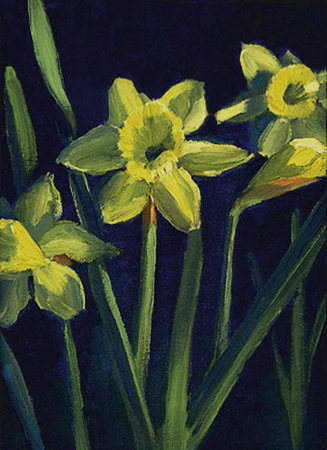 Daffodils, Oil on Canvas, 9 x 12